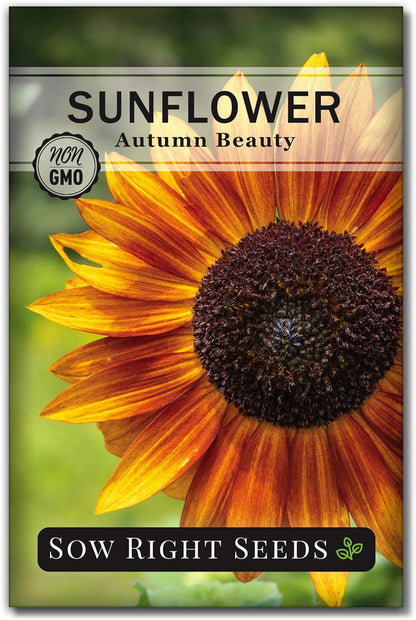 - Sunflower Seed Collection for Planting - 6 Varieties of Sunflowers - Seeds to Attract Pollinators - Non-Gmo Heirloom Seeds with Instructions to Plant & Grow - Makes a Great Gift